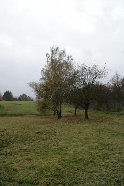 Agroturystyka U Maciejowej Villa Lanckorona Exterior photo